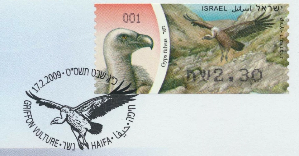 Israel Birds of Prey Griffon Vulture ATM Labels 2009 Full Set on 8 FDCs - Image 3 of 3
