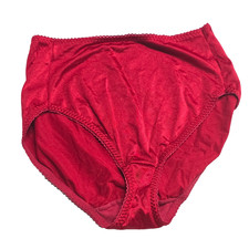 Vintage Vassarette High Leg Panties Shiny Stretch Satin Second Skin Red XL READ