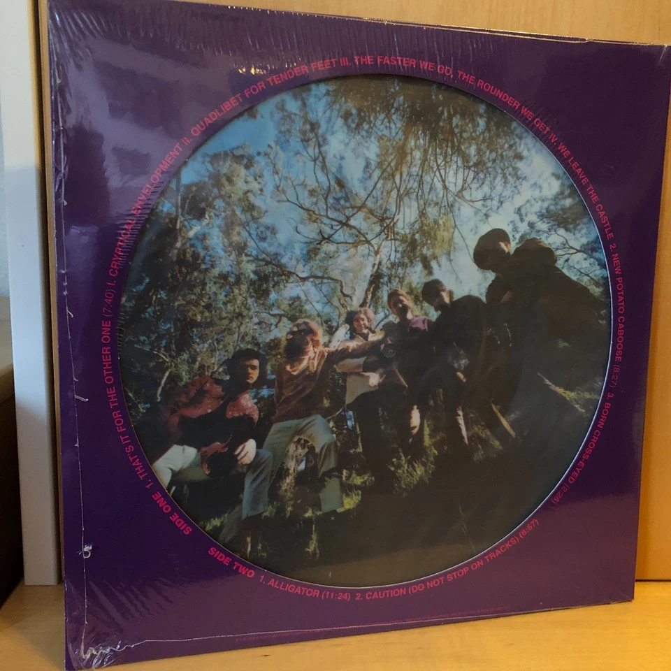 GRATEFUL DEAD : Anthem Of The Sun - PICTURE LP - 50th Anniv.  Rhino , 2018 mint - Bild 2 von 3