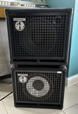 SWR Workingman’s 10 100 Watt Bass Mini Stack