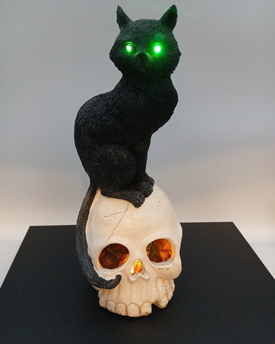Black Cat Sitting On Skull Light Up Halloween Sculpture Decor 12" Tall