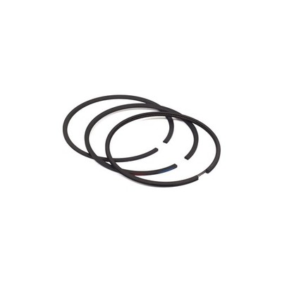 New Briggs & Stratton OEM 499631 Ring Set-Std
