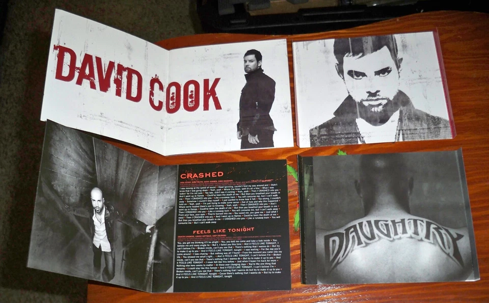 (2) CDs: CHRIS DAUGHTRY & DAVID COOK SELF-TITLED - AMERICAN IDOL NO CASES EX !! Foto 2 de 2
