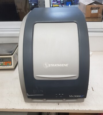 希少品 STRATAGENE リアルタイム定量 PCRシステム Mx3000P s-l400.jpg