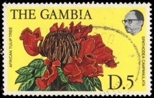 GAMBIA 366 - African Tulip Tree 