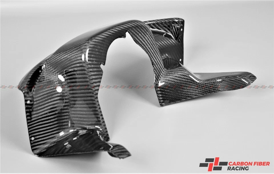 Carenado delantero interior Ducati Multistrada 1000DS 2003-2009, 1100 100 % fibra de carbono Foto 2 de 4