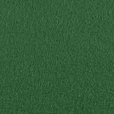 Green FLEECE, BTY, Solid Green Fleece, Anti-Pill, Sykel 369-16, TheFabricEdge