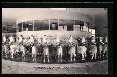 Ansichtskarte Walker-Gordon Rotolactor 
