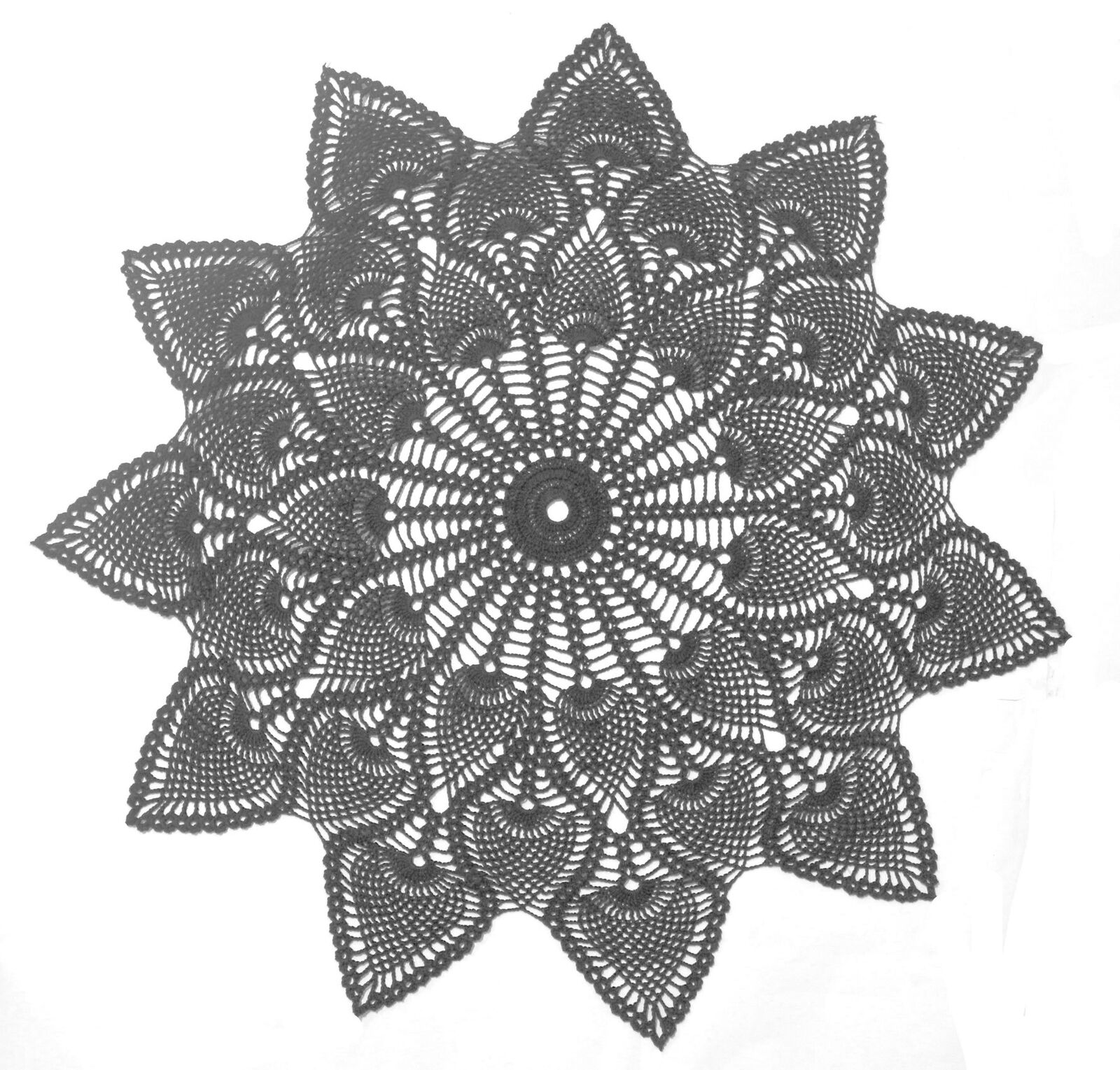 Foto 14 di 14