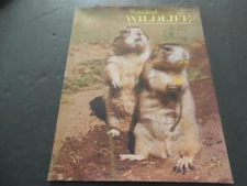 National Wildlife  Apr-May 1977 Wild Mustangs, Predator The Fisher      ID:33637