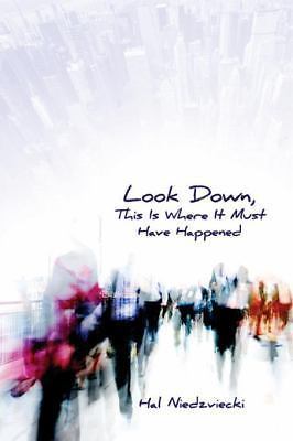 Look Down, This is Where it Must Have Happened by Hal Niedzviecki 9780872865396