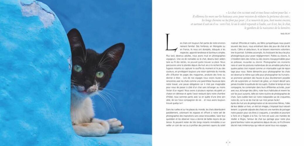 Thumbnail - Tuul Morandi (u. A.) | Katzen | Buch | Deutsch (2020) | 256 S.