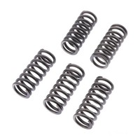 Kupplungsfedern VerstäRkt EBC 6Stk CSK262 FüR Triumph Bonneville 865 T100 2007