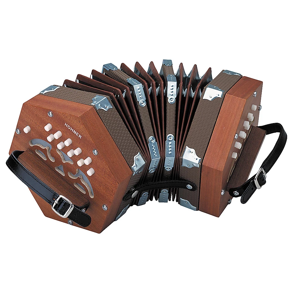 【定価10万円】コンサーティーナ HOHNER D40 希少　動作確認済 HOHNER Concertinas for sale - eBay