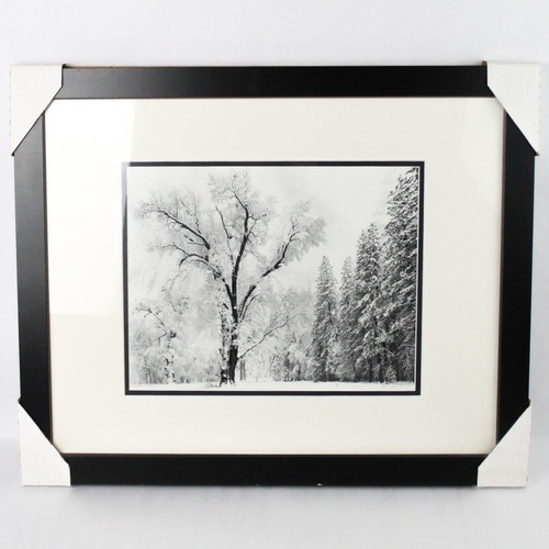 Ansel Adams Art Print Oak Tree snowstorm Yosemite National Park 1948
