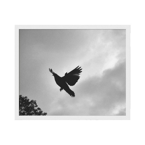 tippi hedren crow cigarette Tippi Hedren Has Cigarette Lit By Crow on set of The Birds Photo Print  Poster