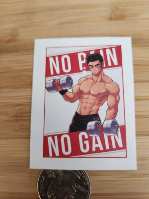  ️Fitness Sticker Weight lifting Sticker Gym Exercise CrossFit Body Building ️
