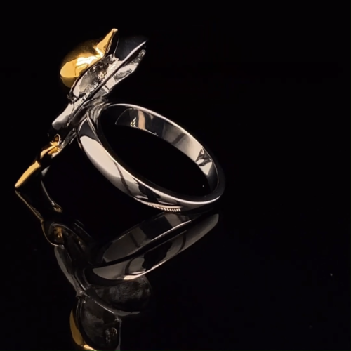 Anello moda donna bicolore acciaio inox 316L cristallo delfino misura 5-10 - Video 1 di 1