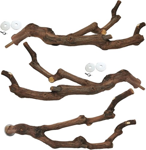 Easy Install Natural Grape Vine Perches - 3PCS for Active Budgies & Cockatiels - Picture 3 of 9