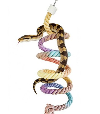 Snake Enrichment Climbing , Python Tank , Hanging Climbing Decor Colorful Cot...
