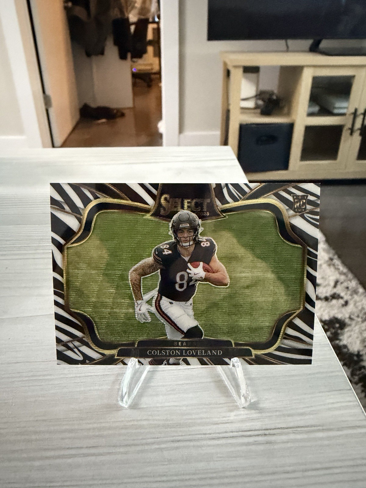 2025 Panini Select Colston Loveland Field Level Zebra Prizm RC Rookie Bears SSP