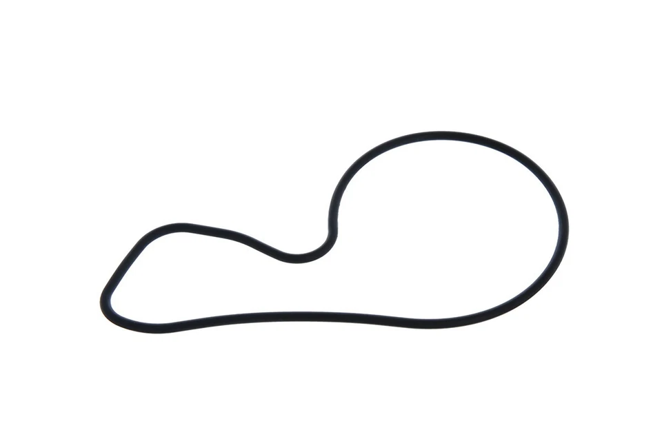 POMPE A EAU VALEO 529319 Drive Auto Discount