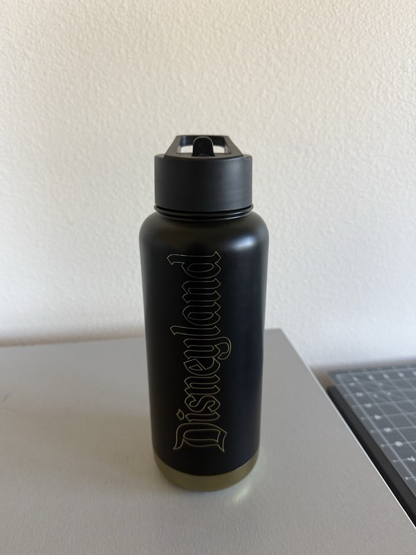Disneyland 32oz Stainless Steel Water Bottle