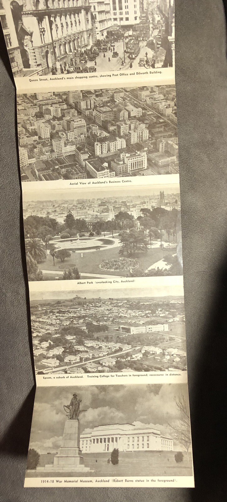 Picture 6 of 6