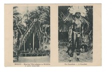 AV1728 - Ethnics, Papua New Guinea Oceania Mekeo Head Hunter w. trophy