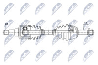 NTY NPW-FR-172