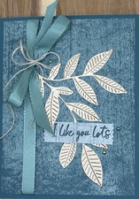 Stampin  Up Every Occasion / Suitable For A Guy