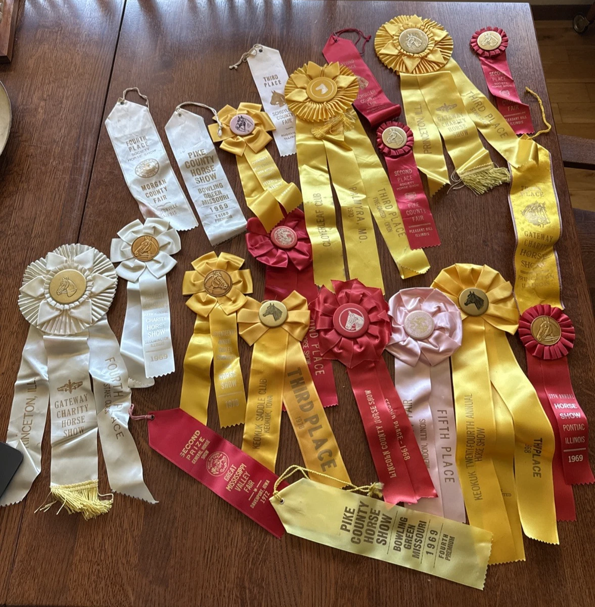 Pack De 4 Rosetas De Caballo Arcoíris – Premios Para Concursos, Eventos Deportivos Y Espectáculos – Decoración Personalizable Con Pintura Y Pegatinas