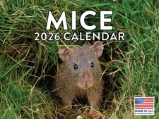 Mouse Calendar 2026 Mice Monthly Wall Calender 12 Month 12x18