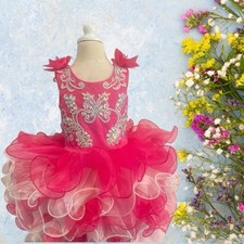 Girls Pink Fuchsia Cupcake Pageant Princess Birthday Dress.