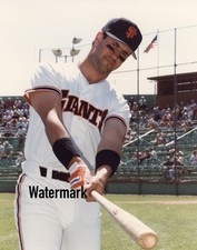 1987 Will Clark Giants PRO 8x10 