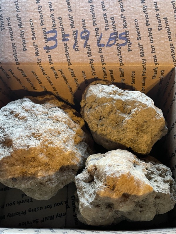 BOX OF KENTUCKY GEODES:3 BIG GEODES *3=19 LBS*