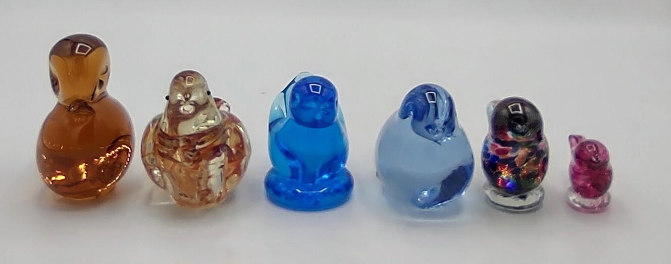 Picture 5 of 14