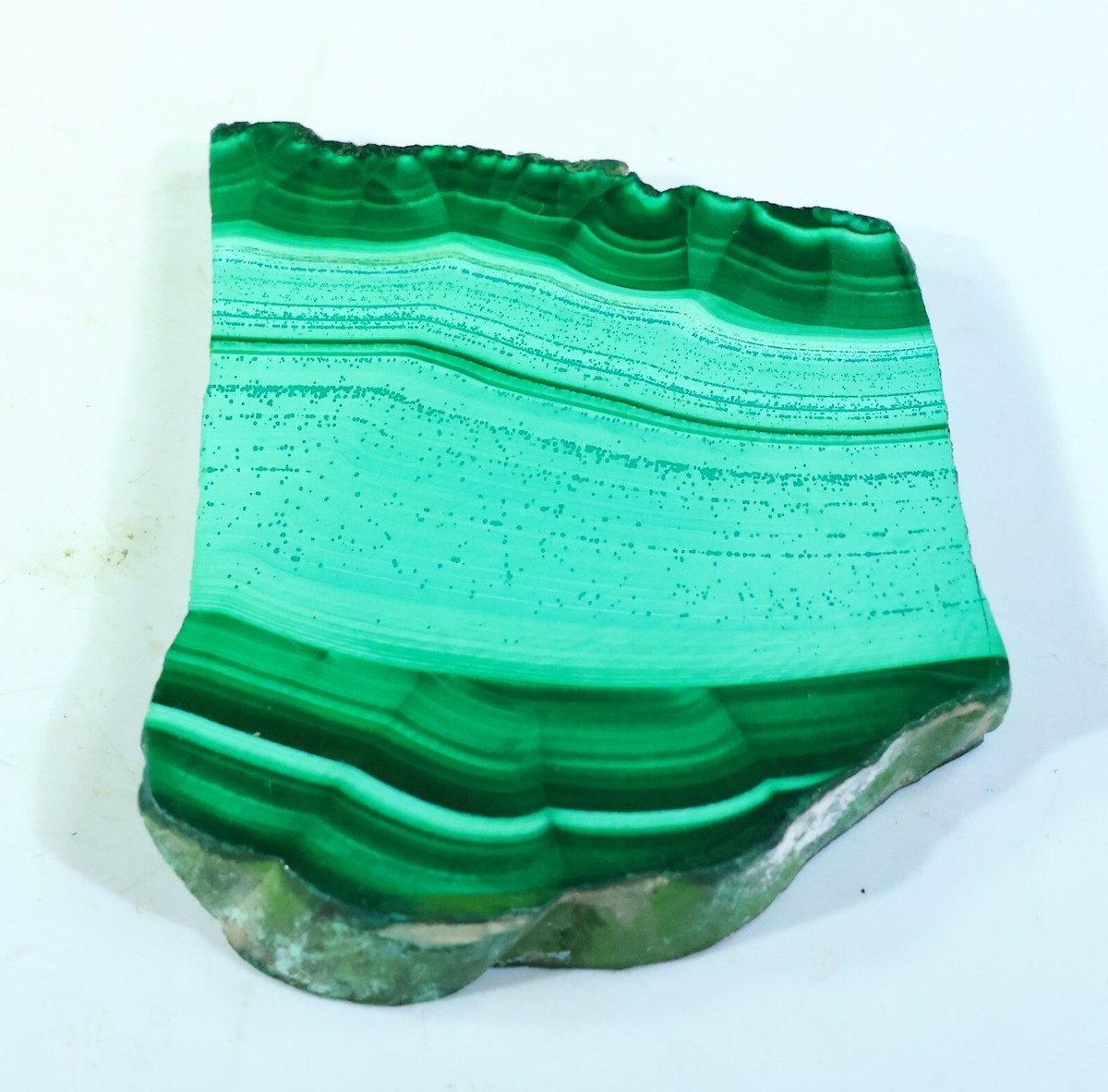 134 CT NATURAL FLOWER PLUME ROOT MALACHITE POLISH TILE UNTREATED