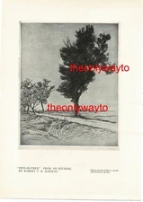 Poplar Tree (German Village Church On Reverse), Book Illustration (Print), 1913 