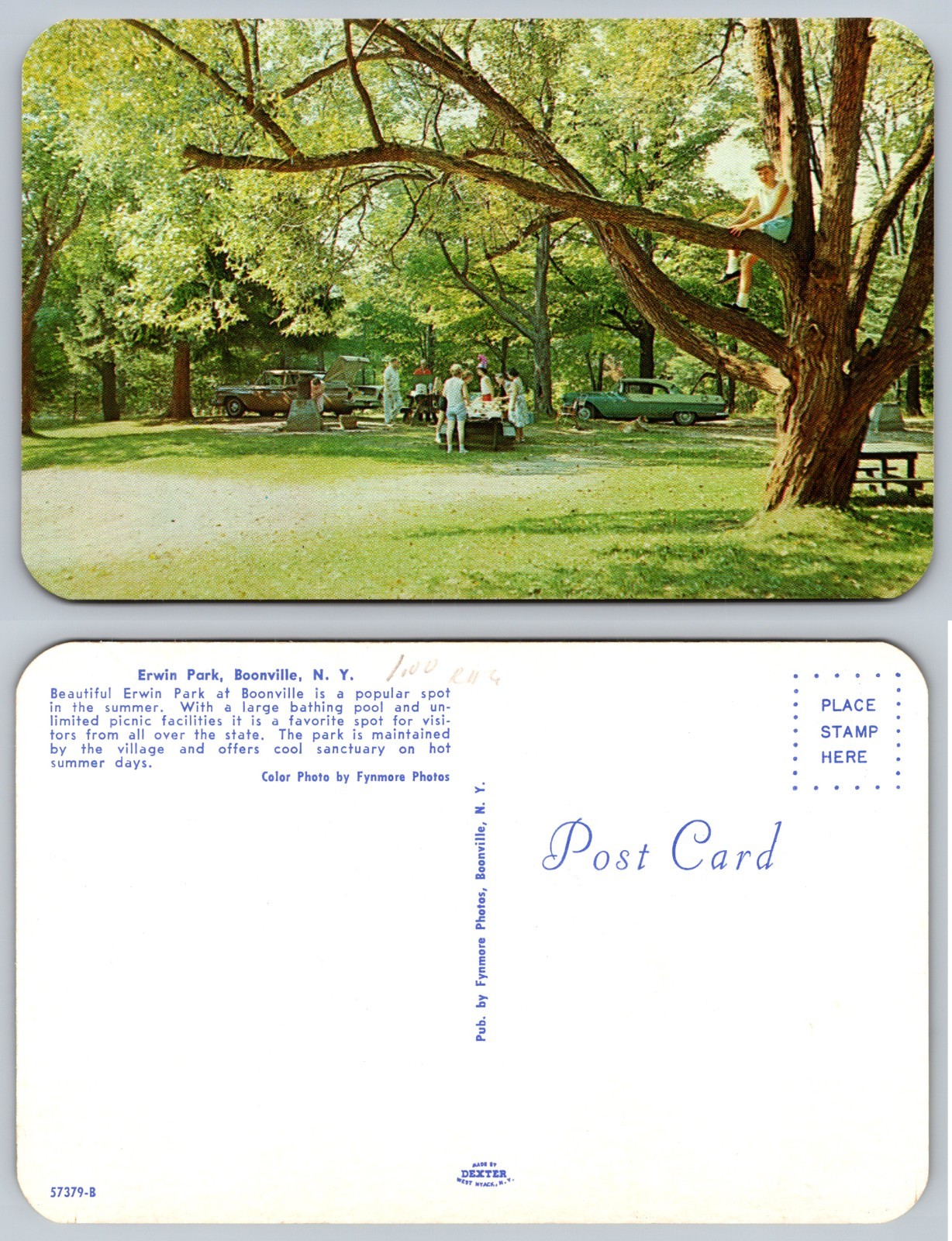 Erwin Park Boonville NY Picnic Postcard