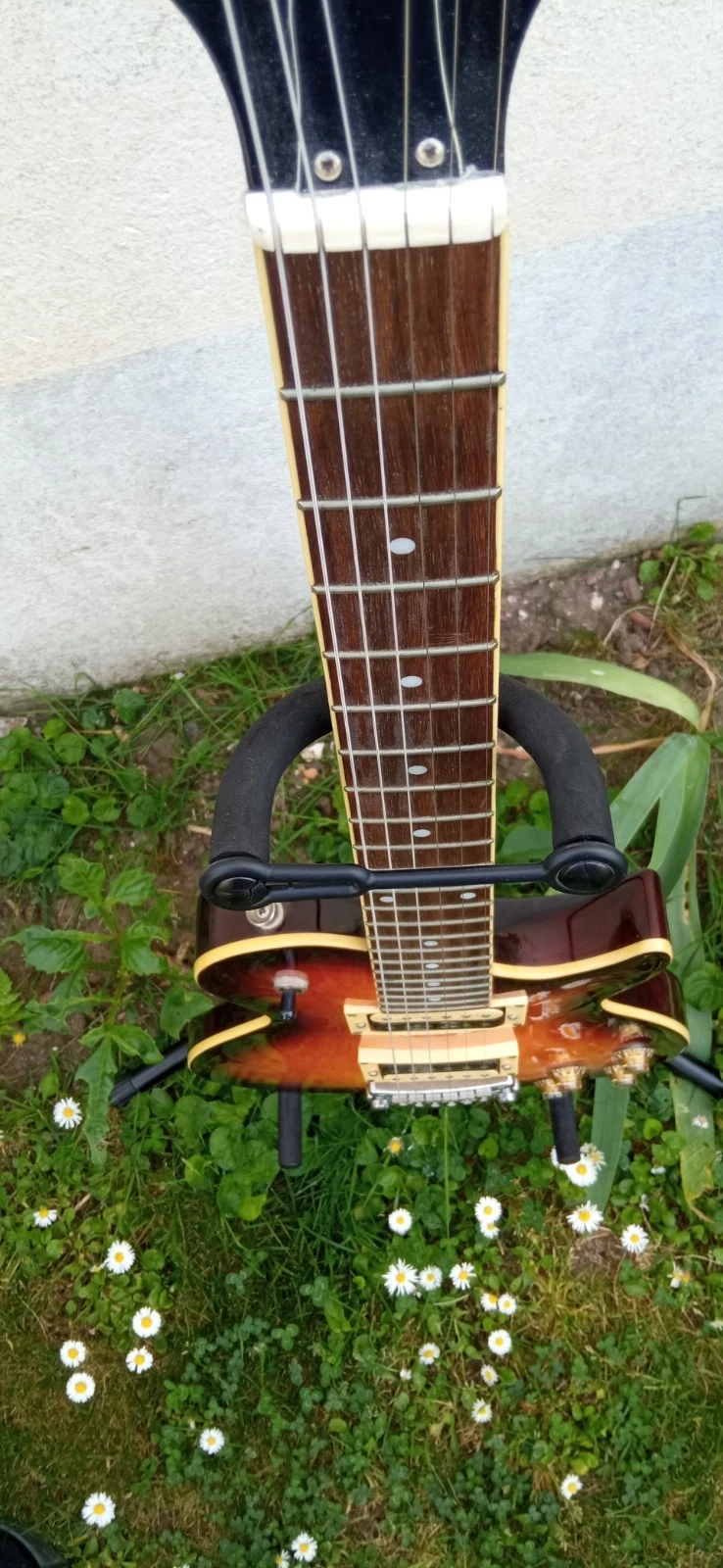 Picture 10 of 24