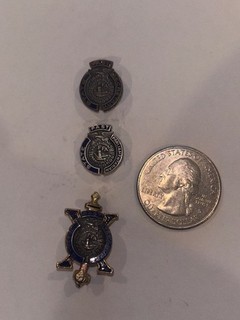 Vintage FFA Future Farmers of America Past State Officer Pins