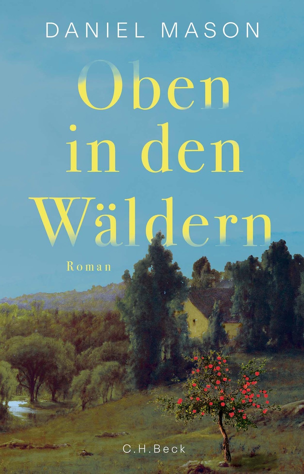 Oben in den Wäldern Daniel Mason - Bild 4