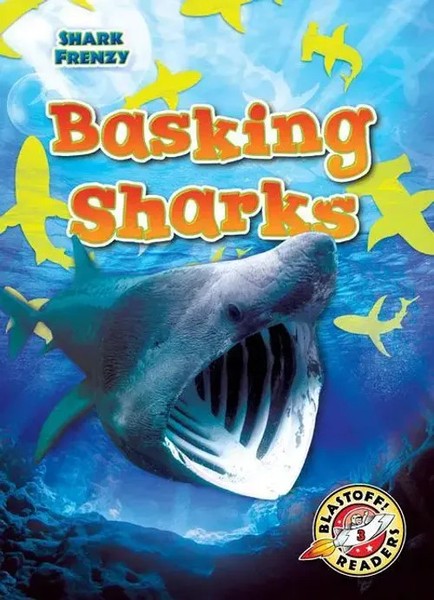 Basking Sharks | Rebecca Pettiford | Englisch | Buch | Shark Frenzy | Gebunden-image