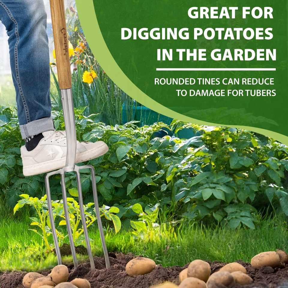 Stainless Steel Digging /Border Spade Or Fork Ash Handle Garden Soil Wood Handle - Image 4 of 4