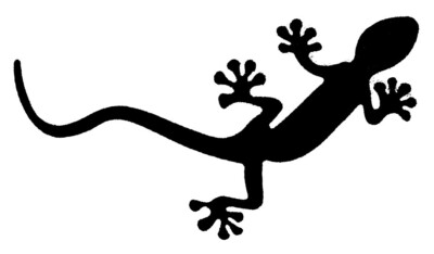 Salamander Newt Gecko Lizard Decal Wrap Sticker Vinyl Animal Wild