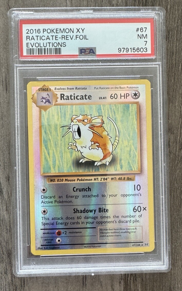 2016 Pokémon XY Evolutions Reverse Holo Raticate 67/108 PSA 7