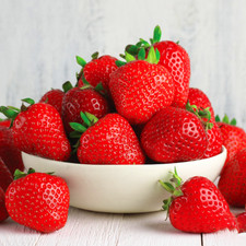 Strawberry 'Cambridge Favourite' Hardy Mid Season Bare Root Garden Fruit