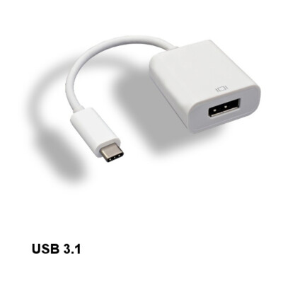 10x USB 3.1 Type C to DisplayPort Adapter 4Kx2K for PC Smartphone TV Laptop