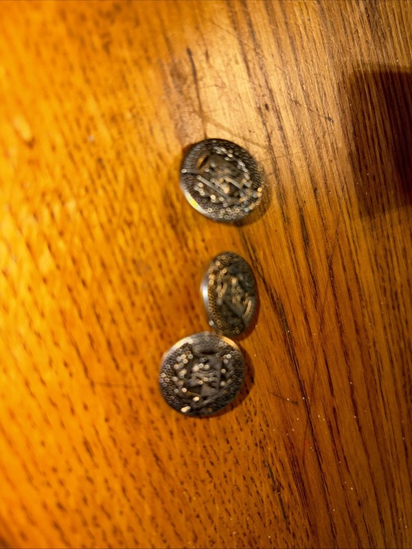 Vintage Exquisit Coat Of Arms Buttons Made In Germany